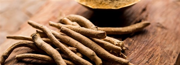 Kaikki mitä haluat tietää trendaavasta ashwagandhasta