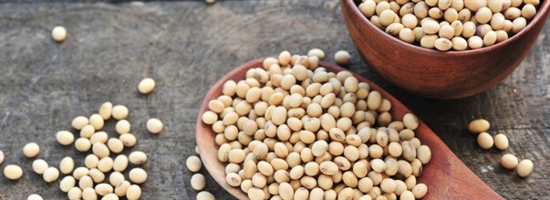 Soijaproteiini on erinomainen vaihtoehto