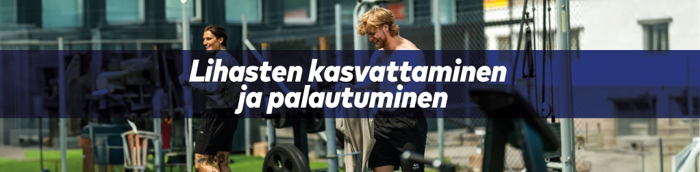 Lihasten kasvattaminen ja palautuminen jopa 20%