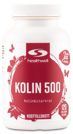 Healthwell Koliini 500,  - Healthwell