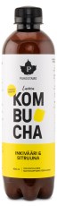 Puhdistamo Kombucha