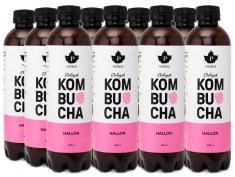 Pureness Kombucha Luomu 