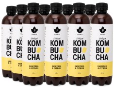 Pureness Kombucha Luomu 