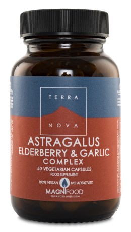 Terranova Astragalus,  - Terranova